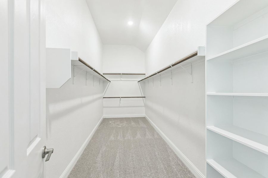 Walk in closet featuring carpet floors Walk in closet featuring carpet floors