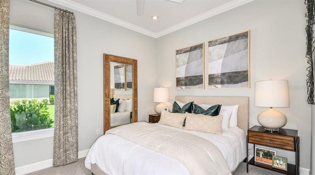 REPRESENTATIVE PHOTOS