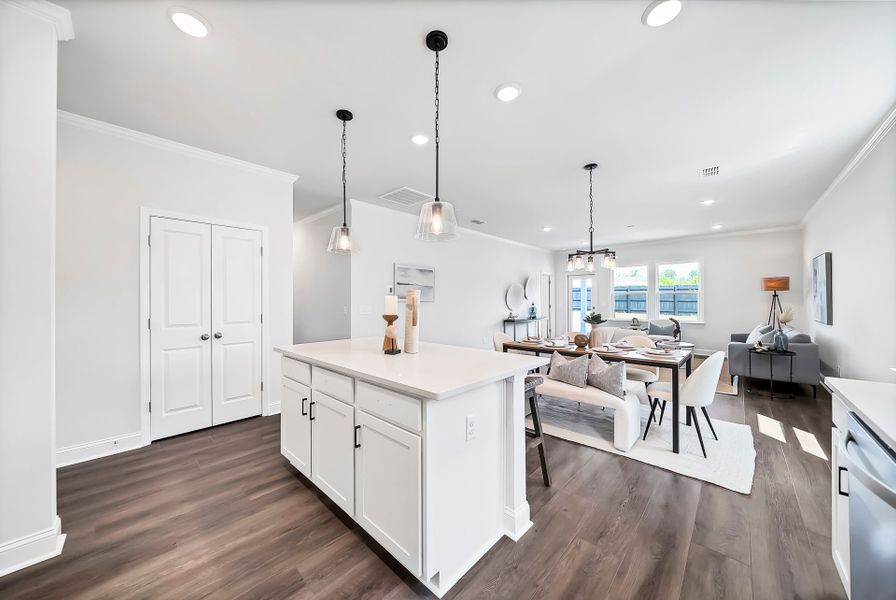 Furnished interior view inside a new home in Monroe Preserve, Chapin (Image 10).