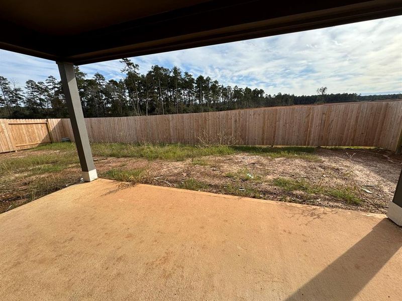 Treeline view from covered back porch!