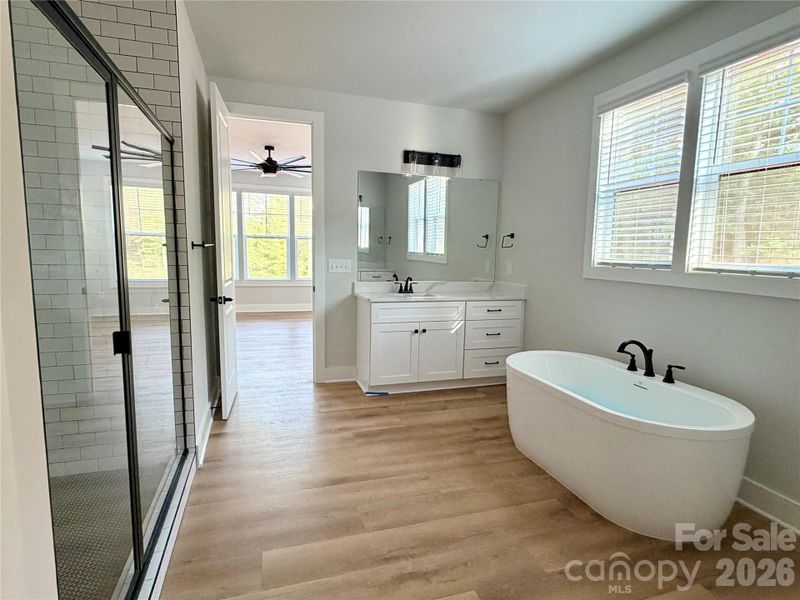 Furnished interior view inside a new home in , Mount Ulla (Image 10).