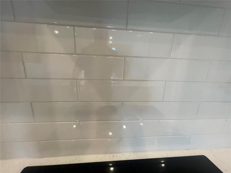 Image 38 of a home in Magnolia Series at Seminole Palms. Image 38 of a home in Magnolia Series at Seminole Palms.