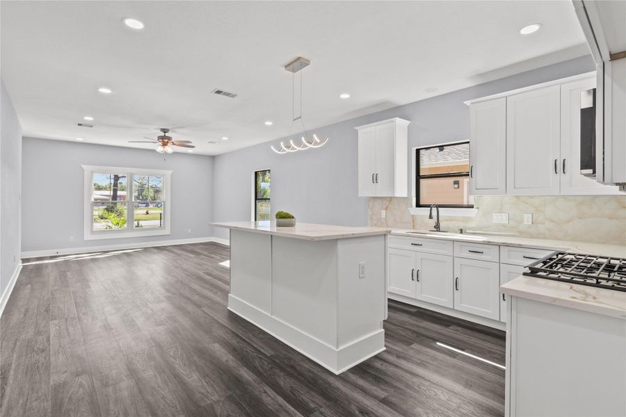 Open Living/ Kitchen Concept Open Living/ Kitchen Concept