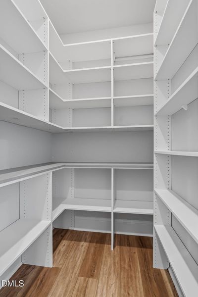 52-web-or-mls-DSC06663