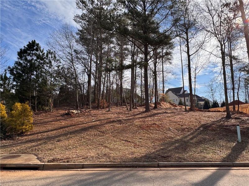 Site preparation for new homesites in , Alpharetta (Image 19).