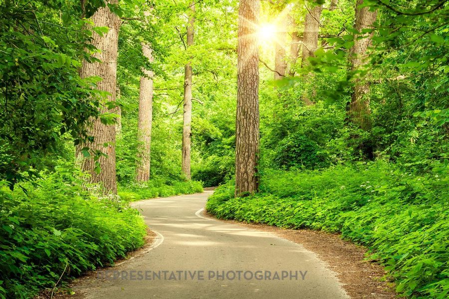 Natural landscape and outdoor views near  in Montgomery (Image 20).