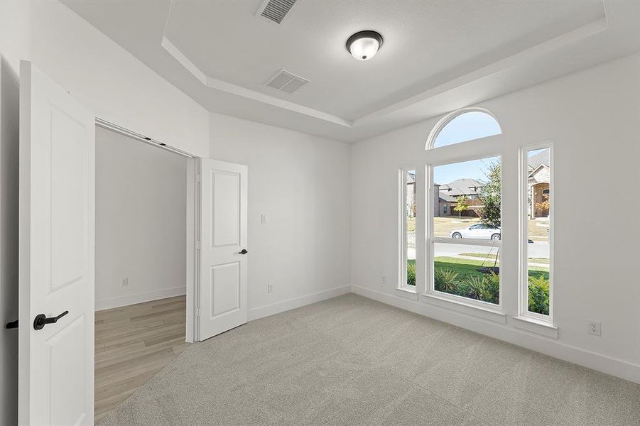 3_04. 953 Gold Finch - Study