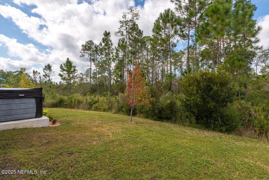 Natural landscape and outdoor views near River Glen Express in Yulee (Image 32).