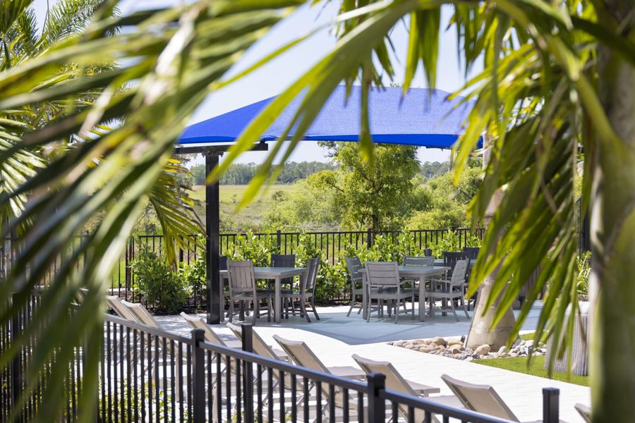 Community amenities associated with the Ocean Front by Neal Communities in Vistera of Venice, Nokomis (Image 13). Community amenities associated with the Ocean Front by Neal Communities in Vistera of Venice, Nokomis (Image 13).