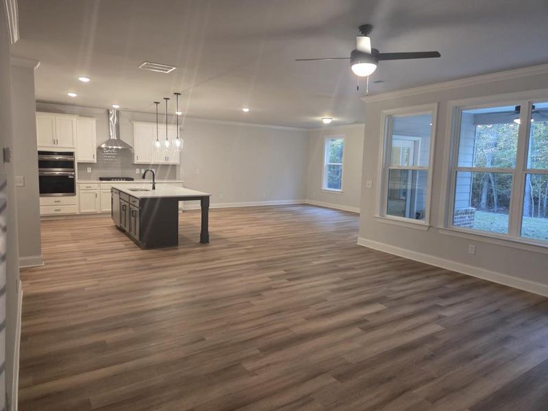 Spacious, unfurnished interior of a new home in Ruby Creek Estates, Atlanta (Image 12). Spacious, unfurnished interior of a new home in Ruby Creek Estates, Atlanta (Image 12).