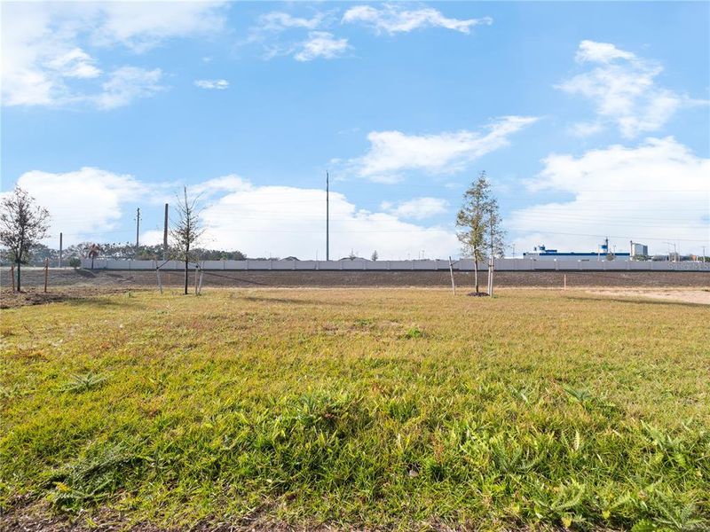 Natural landscape and outdoor views near in Haines City (Image 24). Natural landscape and outdoor views near in Haines City (Image 24).