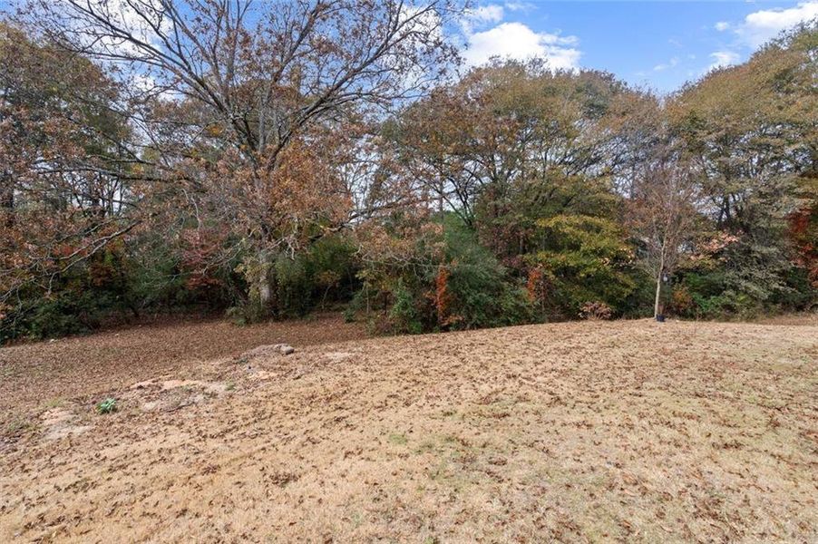 Natural landscape and outdoor views near  in Auburn (Image 41).