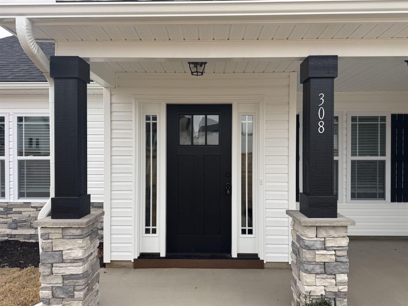 Exterior details and patio area of a home in Ballentine Ridge, Lyman (Image 3).