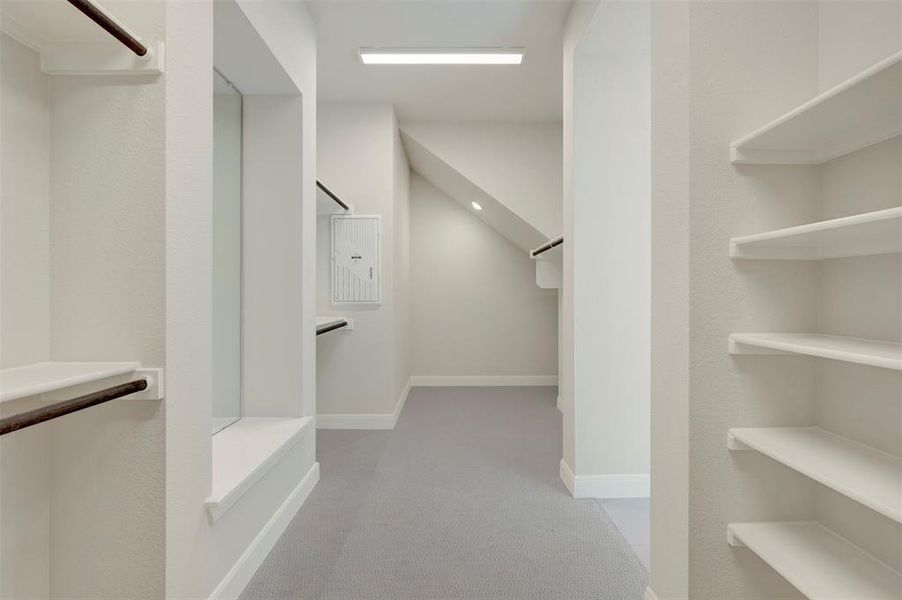 Walk in closet with light colored carpet