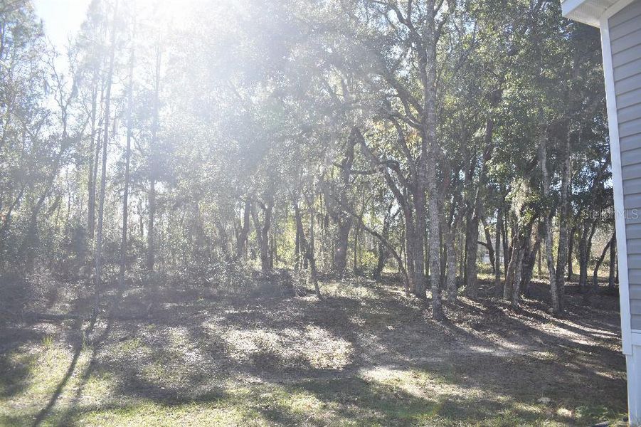 Natural landscape and outdoor views near  in Williston (Image 54).