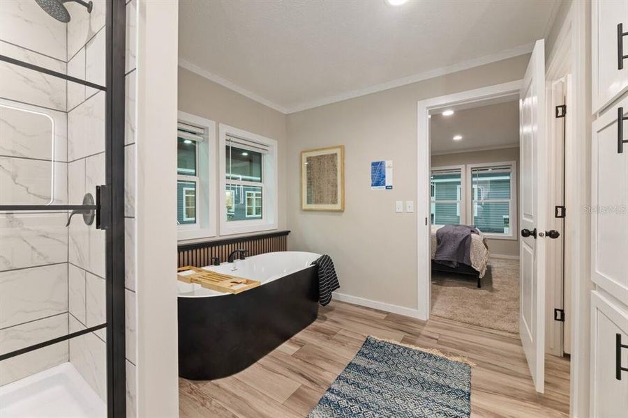 Furnished interior view inside a new home in , Okeechobee (Image 32).