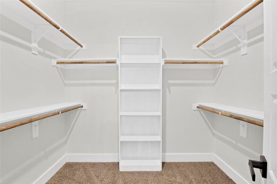 Spacious closet with light carpet