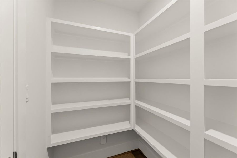 Very large Pantry , Custom built