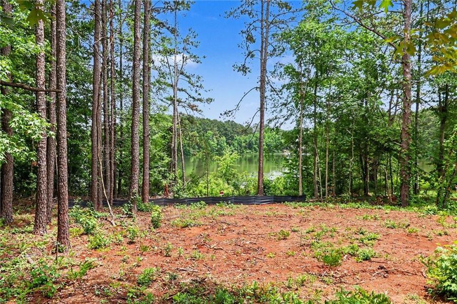 Natural landscape and outdoor views near  in Marietta (Image 37).