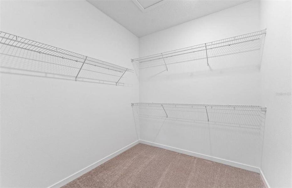 Spacious, unfurnished interior of a new home in Riverwood, Zephyrhills (Image 19).