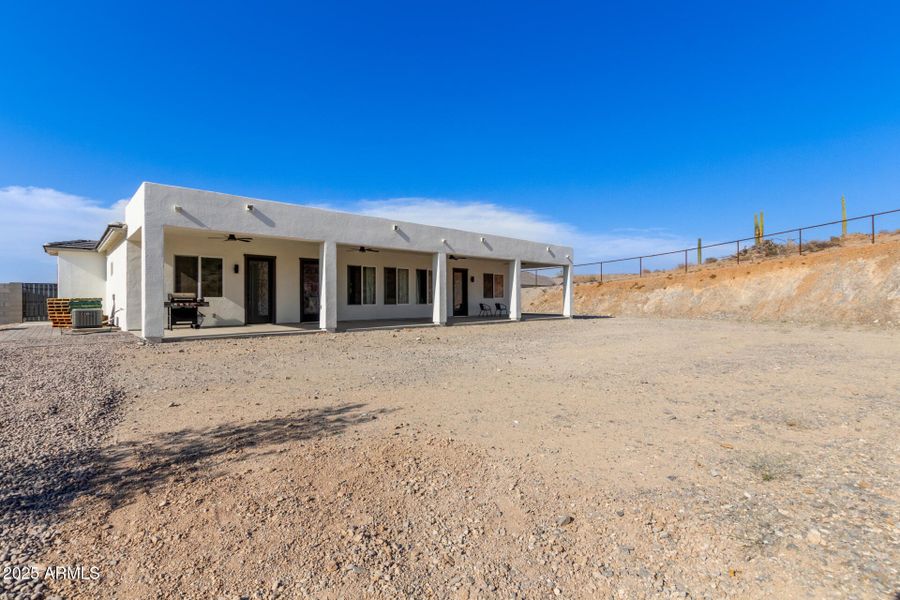 51 - Hummingbird 51 - Hummingbird