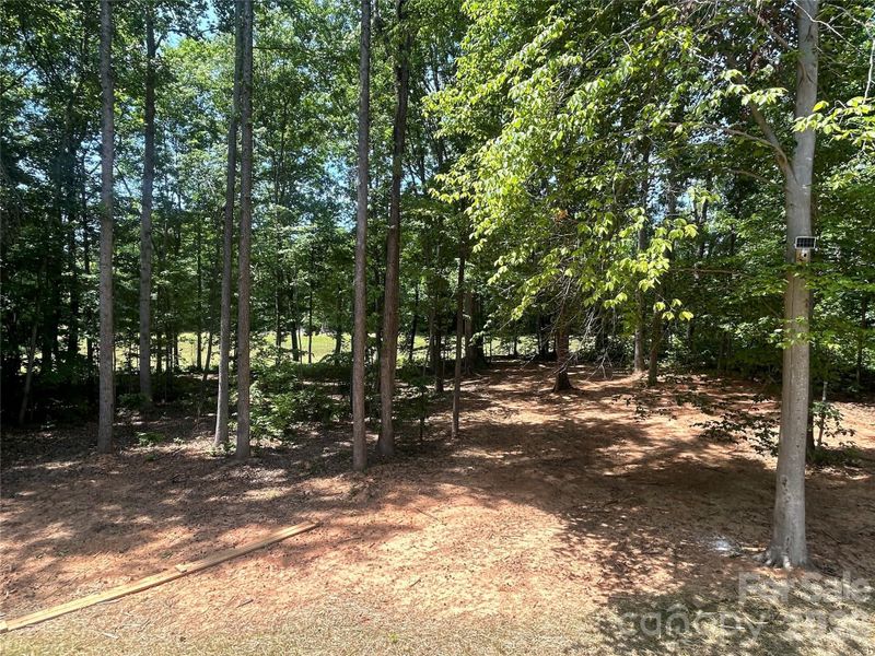 View of Backyard from Deck