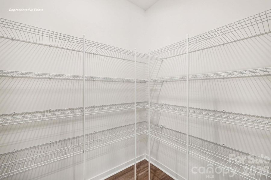 Spacious, unfurnished interior of a new home in Reedy Creek Preserve, Charlotte (Image 20).