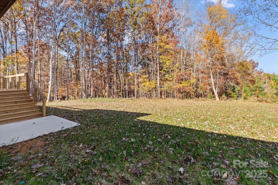 Surrounded by Nature Surrounded by Nature