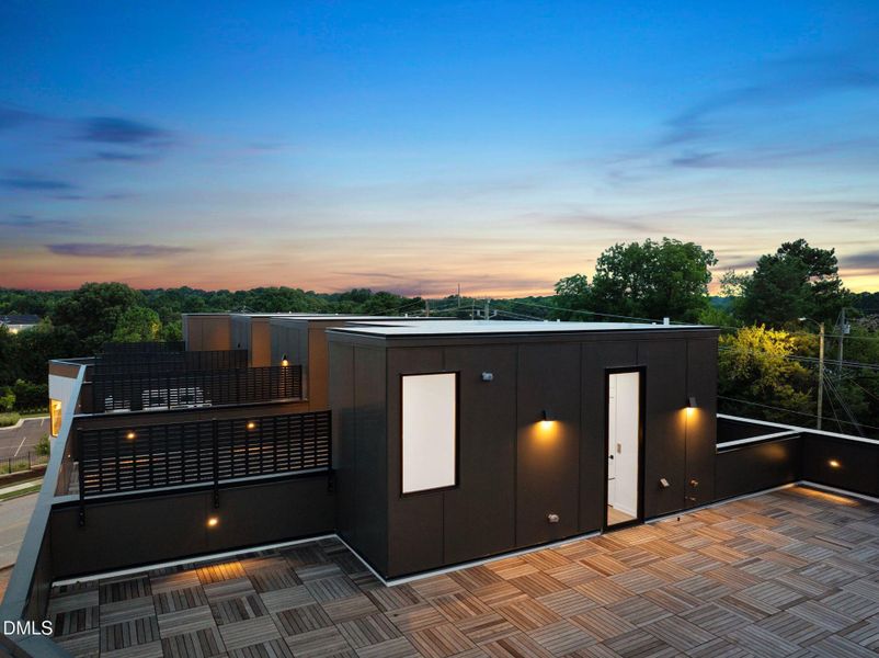 Rooftop View