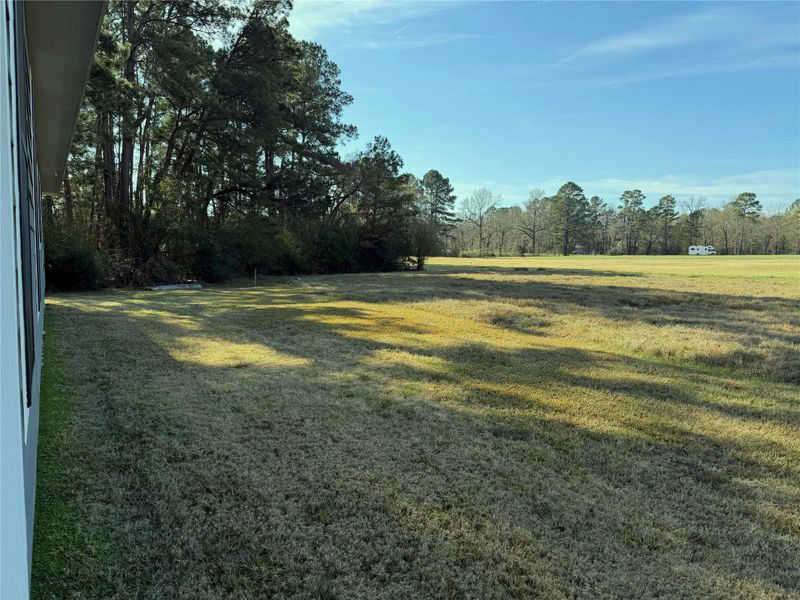Natural landscape and outdoor views near  in Trinity (Image 25).