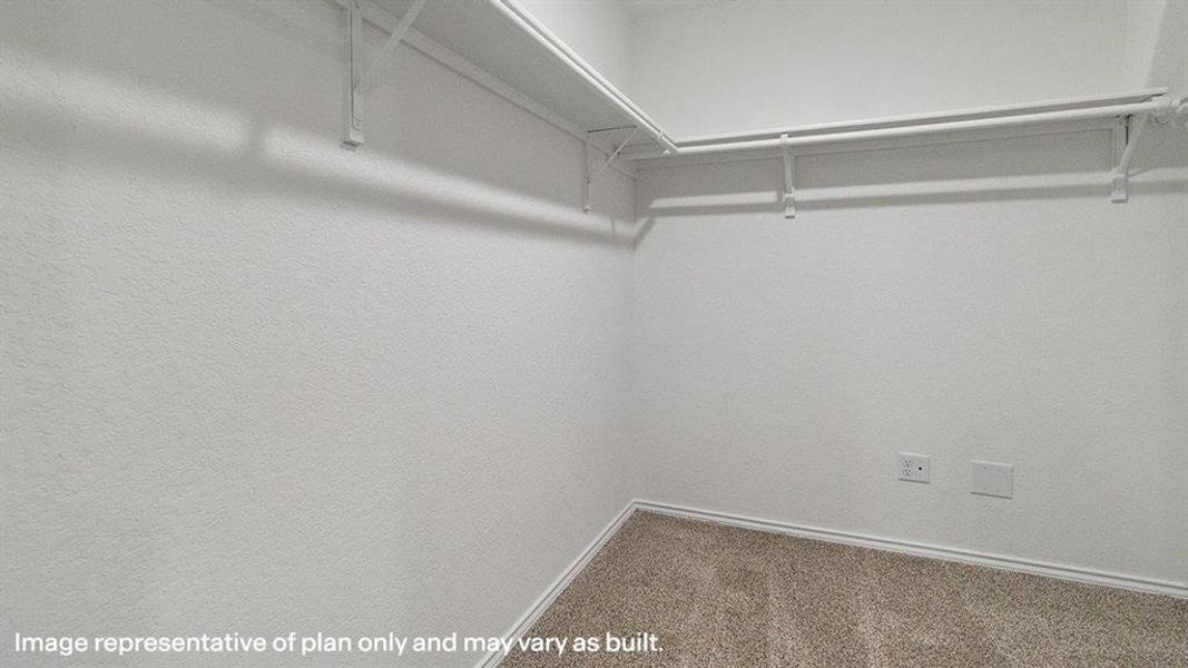 Spacious closet featuring carpet