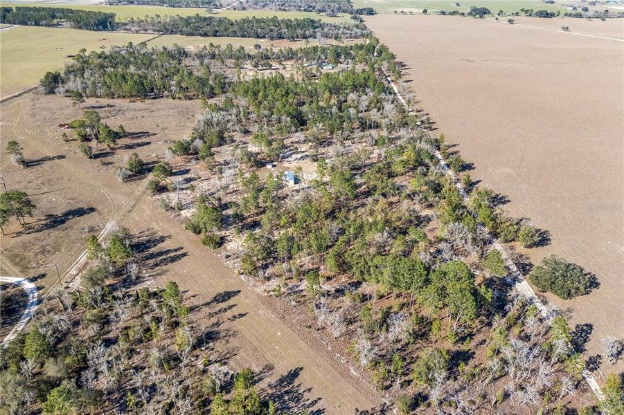 Natural landscape and outdoor views near  in Williston (Image 25).