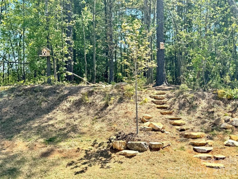 Natural landscape and outdoor views near Westport in York (Image 43). Natural landscape and outdoor views near Westport in York (Image 43).