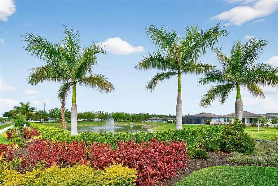 Natural landscape and outdoor views near  in Ellenton (Image 55).