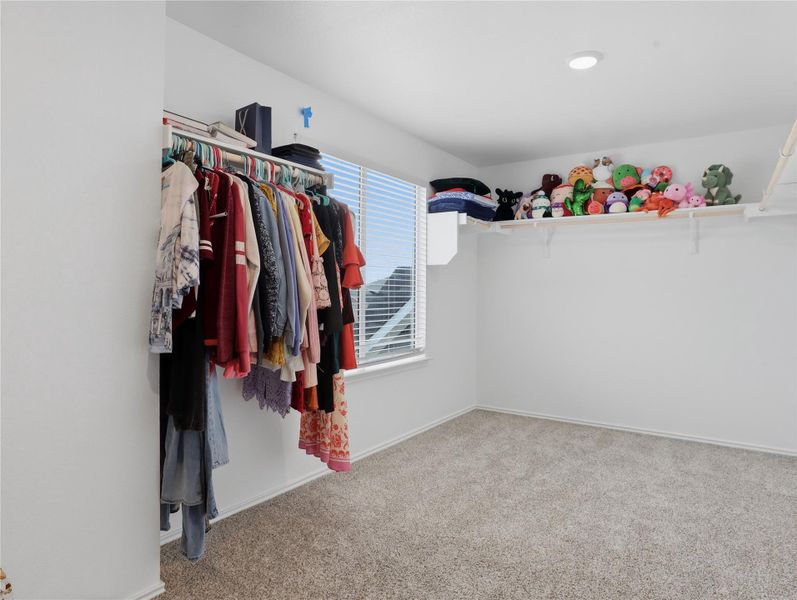 An organized walk-in closet features soft carpeting, recessed lighting, and a bright window. An organized walk-in closet features soft carpeting, recessed lighting, and a bright window.