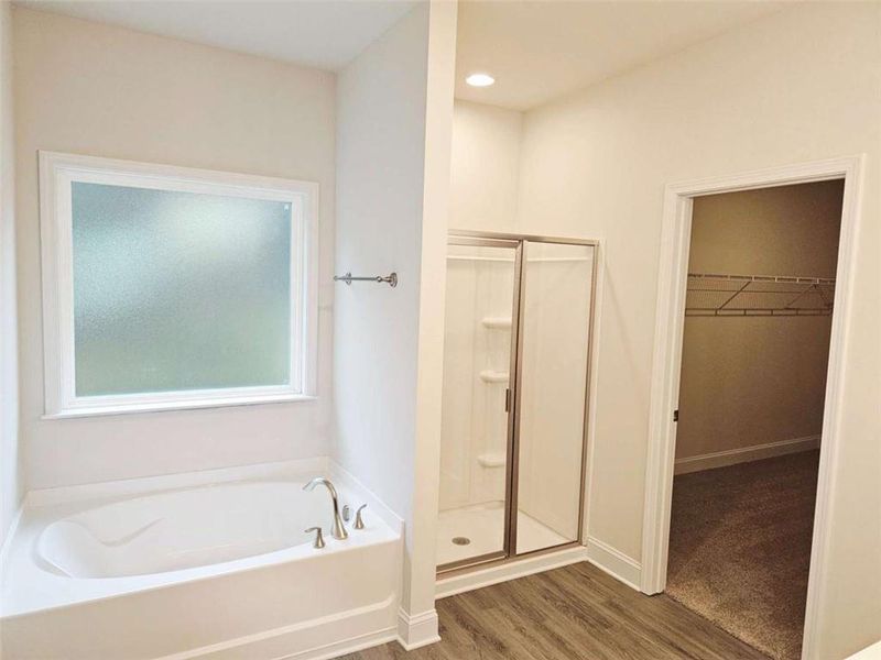 Furnished interior view inside a new home in Scarlett Place, Bowdon (Image 3).