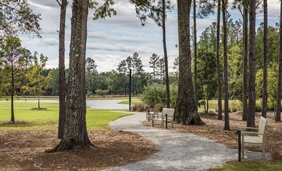 Natural landscape and outdoor views near Sweetgrass at Summers Corner: Arbor Collection in Summerville (Image 10).