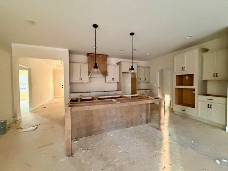 In-progress construction of a new home in Lakefield, Palmetto, GA (Image 3).