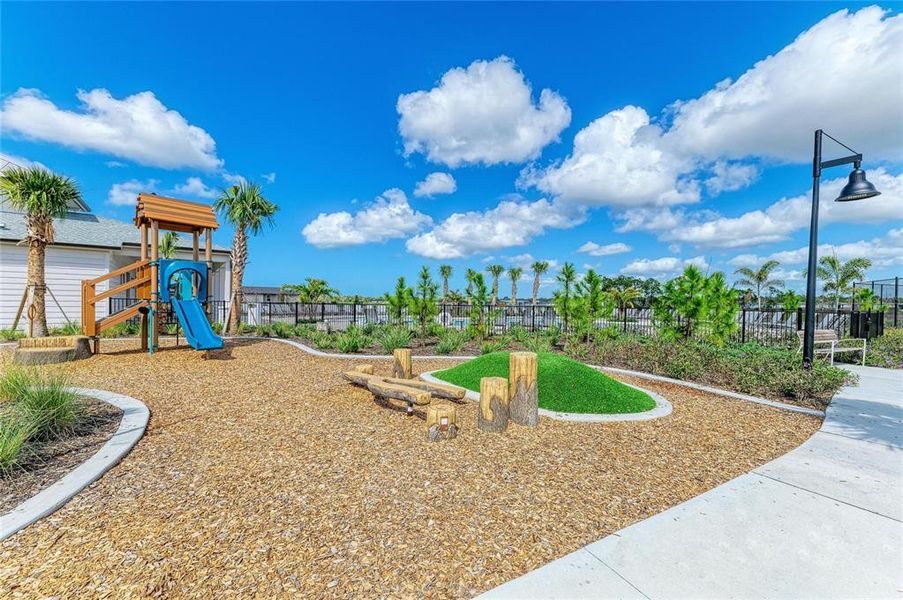 Community amenities in Magnolia Bay - Classic Series, Nokomis (Image 48).