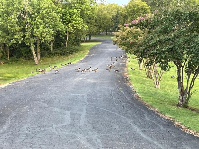 Natural landscape and outdoor views near in Sherman (Image 29). Natural landscape and outdoor views near in Sherman (Image 29).