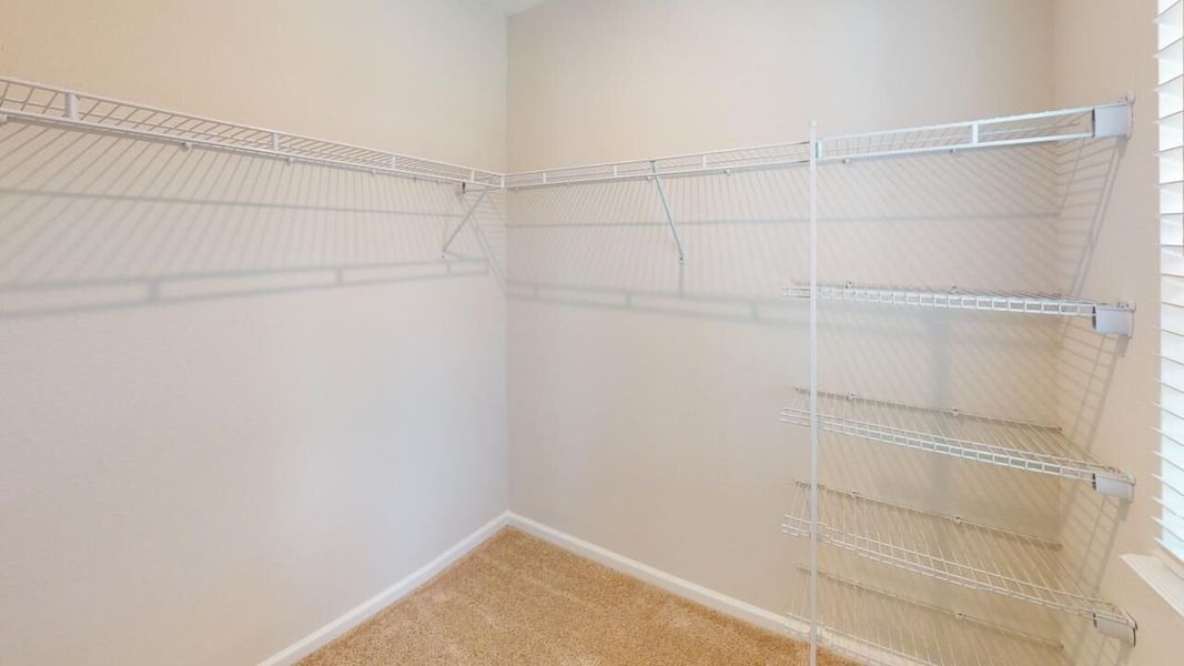 Spacious, unfurnished interior of a new home in RiverTown, St. Johns (Image 12).