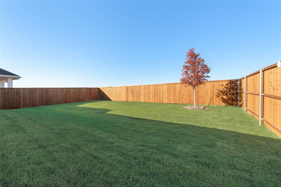 Exterior details and patio area of a home in Wildflower Ranch, Justin (Image 23).