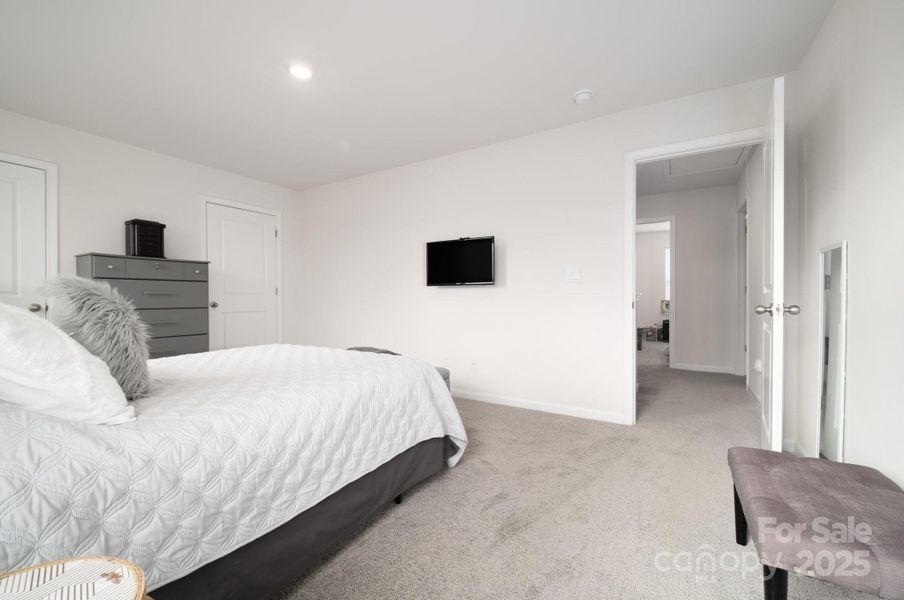 Light and Bright Primary Light and Bright Primary