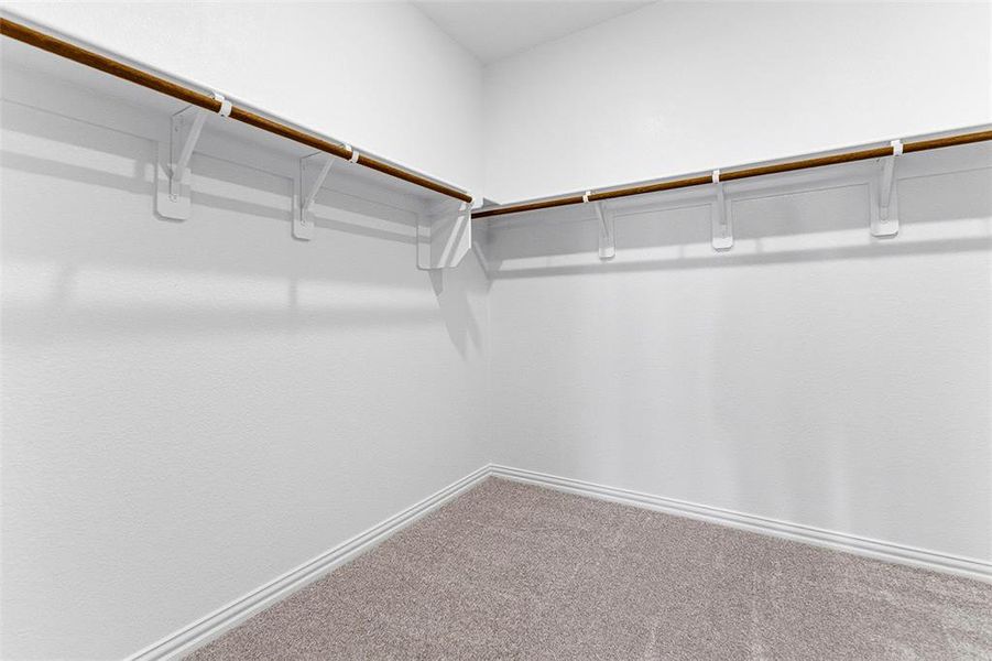 Walk in closet with carpet
