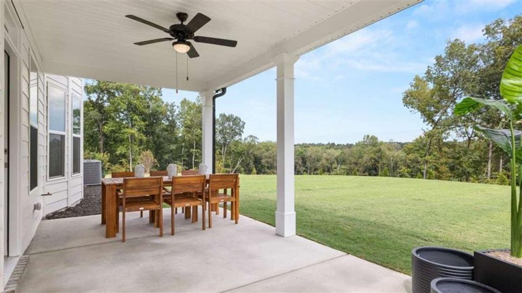 Exterior details and patio area of a home in Heritage Pointe, Senoia (Image 3).
