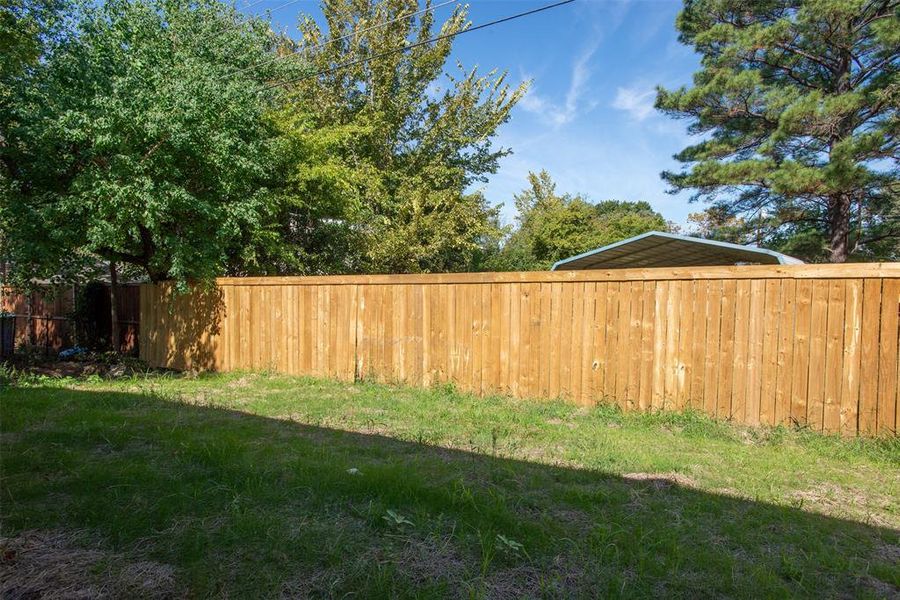 View of backyard