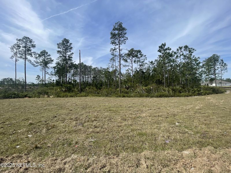 Exterior details and patio area of a home in Palm Series at Seminole Palms, Palm Coast (Image 4).