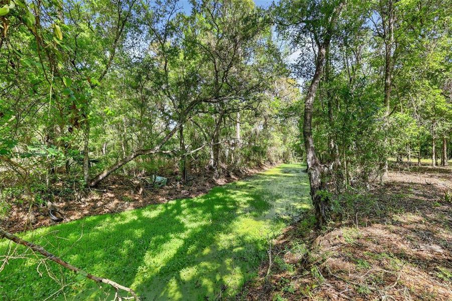 Natural landscape and outdoor views near  in Bushnell (Image 18).