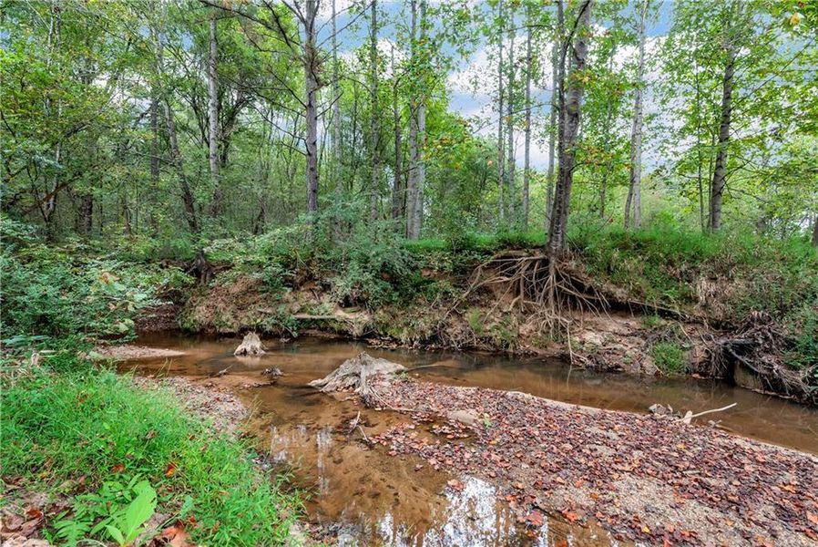 Natural landscape and outdoor views near  in Auburn (Image 45).