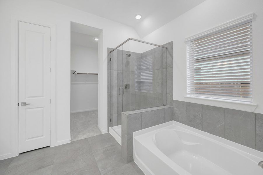 Owner's Bath